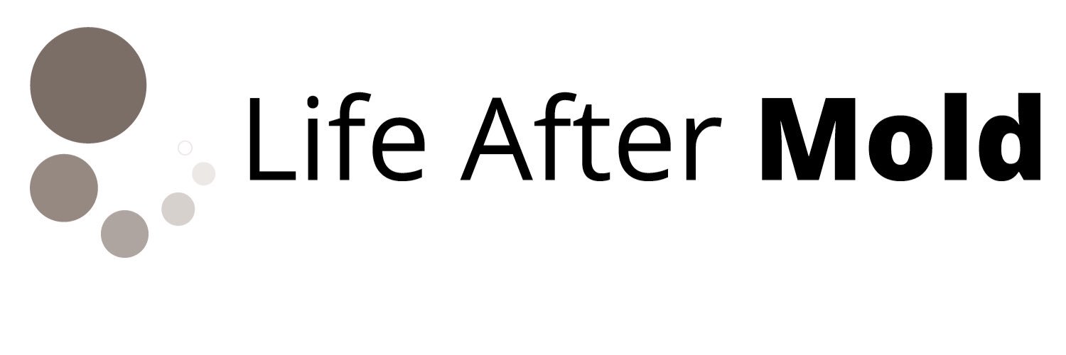 LifeAfterMold's profile banner image
