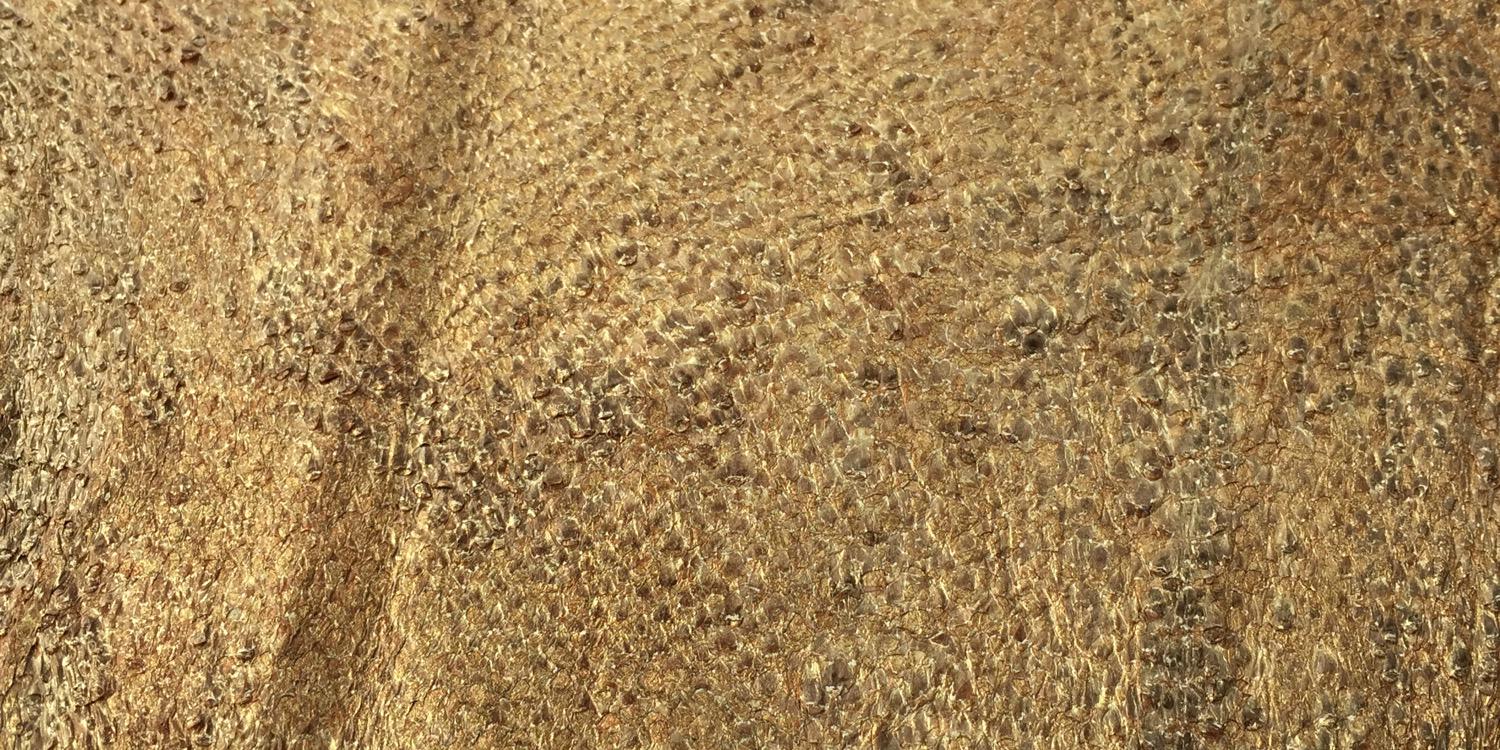 fishleathers's profile banner image