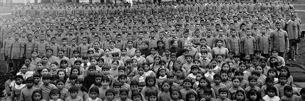 NativeDocs Profile Banner