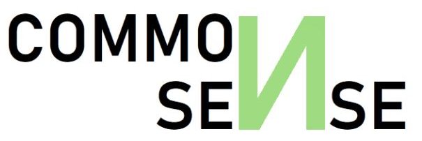 PomRSE's profile banner image