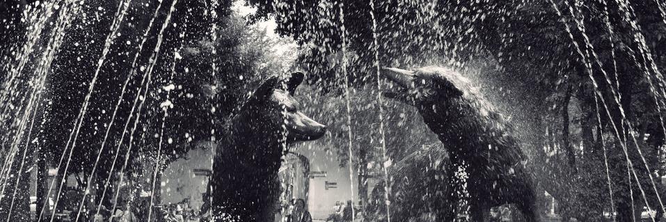 Vecinos El Rosedal banner