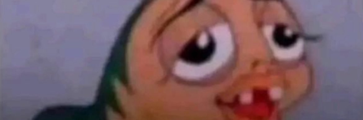 José le Main Coon poilu banner