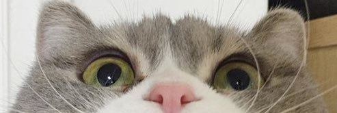KNOAVATION's profile banner image