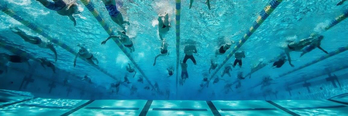 Swimming Victoria banner