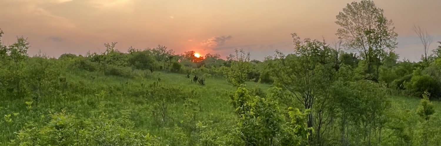 schm12's profile banner image