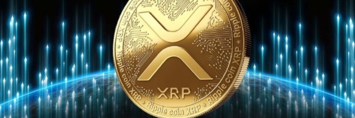 MultimediaMarc's profile banner image