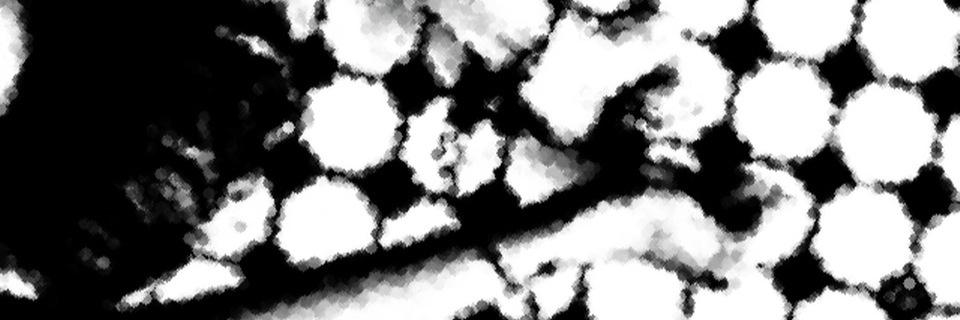 mniive's profile banner image