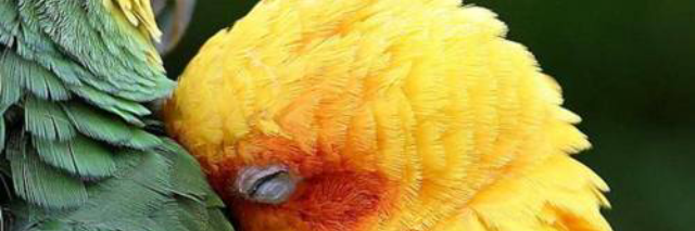 ton62's profile banner image