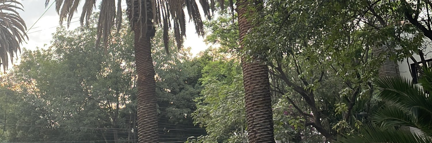 megfairfax's profile banner image