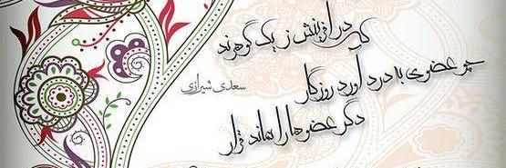 Mitra Tavakoli banner