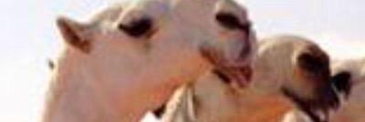 mt3mt0mt5's profile banner image