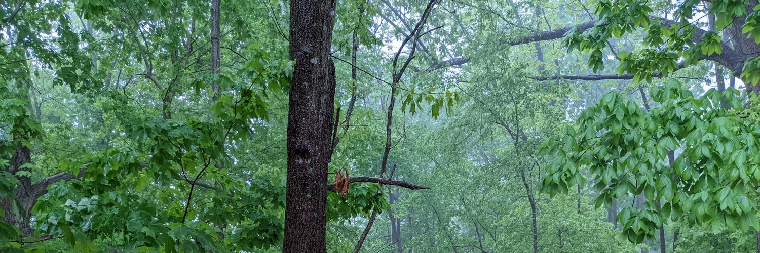 joshuddy's profile banner image