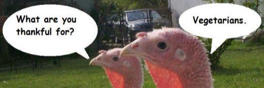 loveTurkeey's profile banner image
