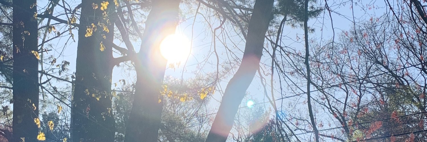 fioposting's profile banner image