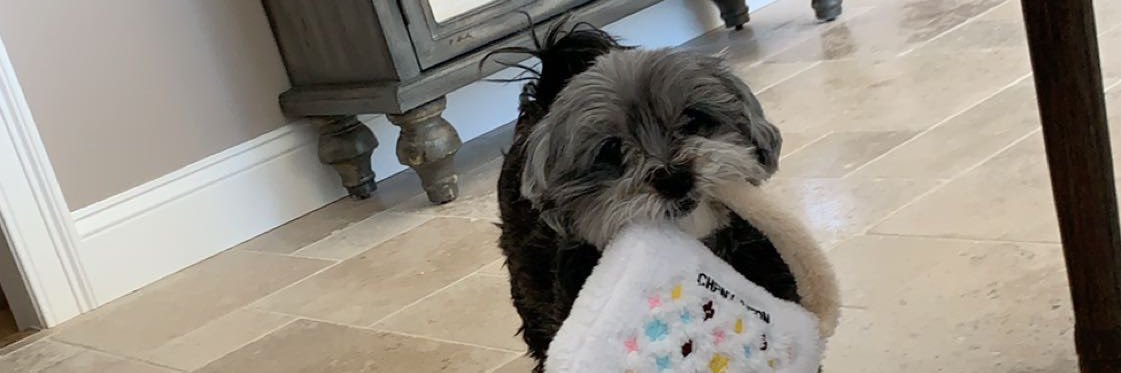 izzy_pecoraro's profile banner image