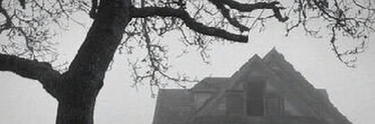 ff_O511's profile banner image