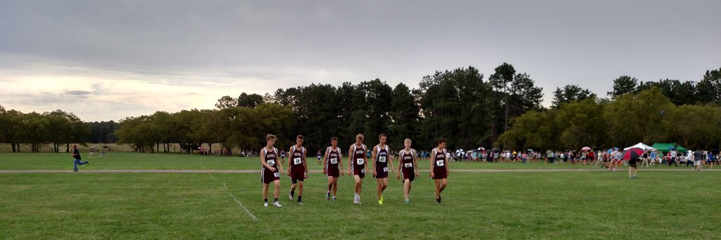 Waverly Vikings XC banner