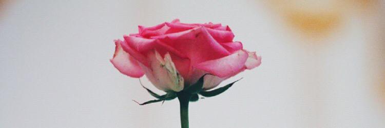 ummn9ooor's profile banner image