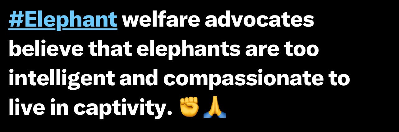 SaveOurSparrows banner