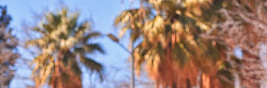 jpchavs's profile banner image