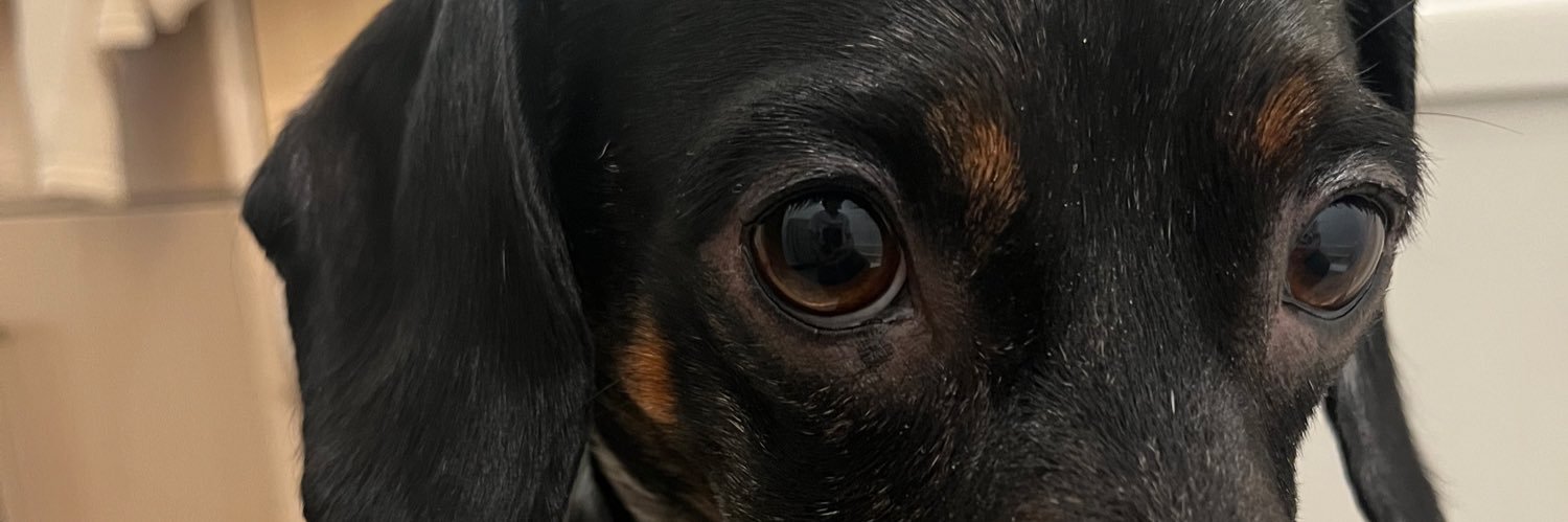 BruiserSaxton's profile banner image