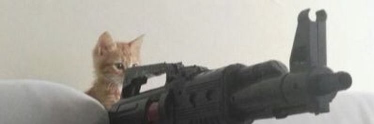 kealaro_'s profile banner image