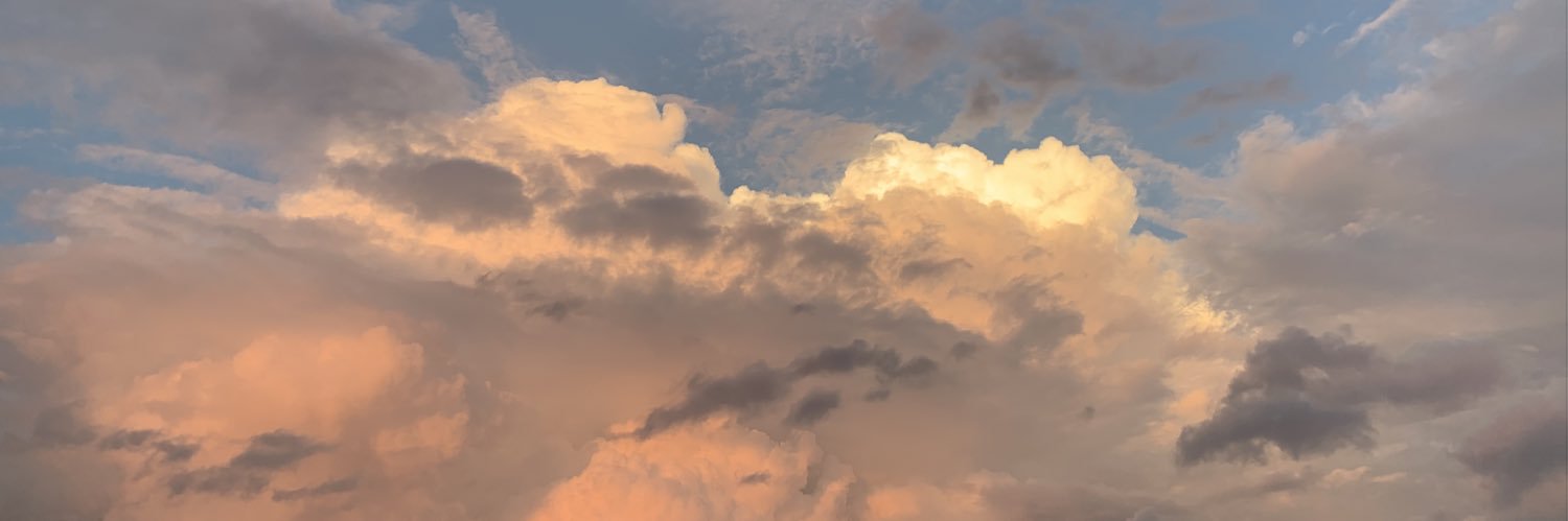 CarleeK2's profile banner image