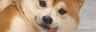 KylePow76358484's profile banner image