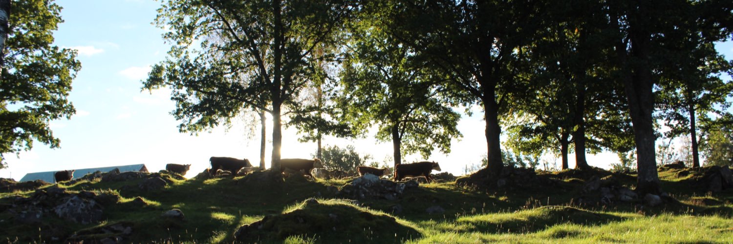 Ida Eriksson banner