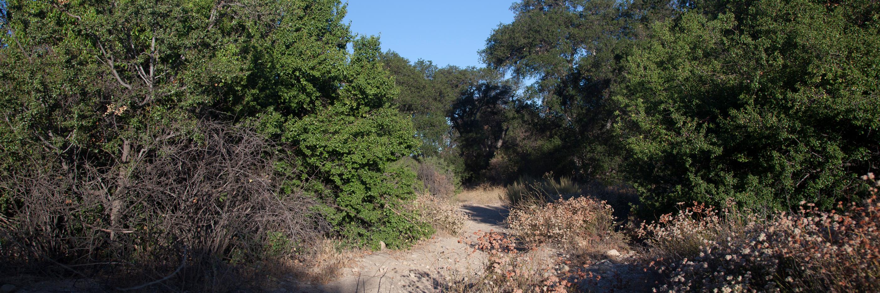 HikeSCV's profile banner image