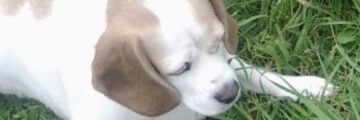Dylan ☾ 999 banner