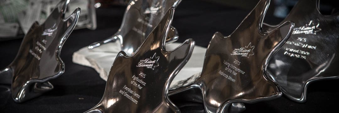 QBAAwards's profile banner image