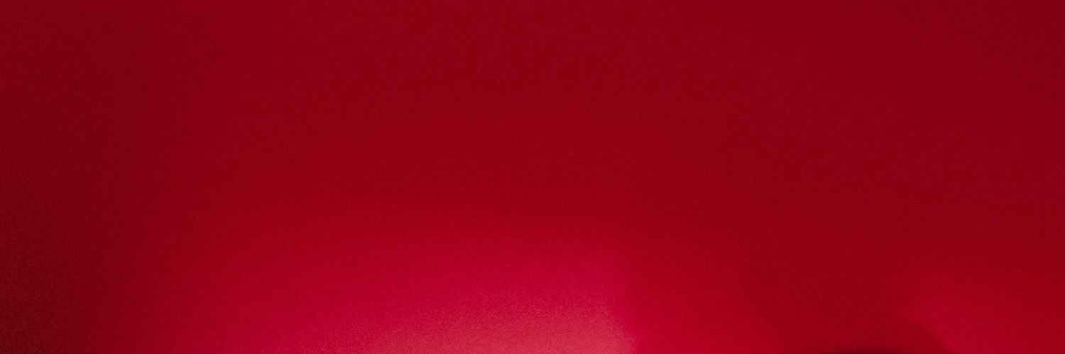 LEO. banner