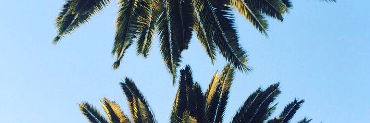 awharty's profile banner image