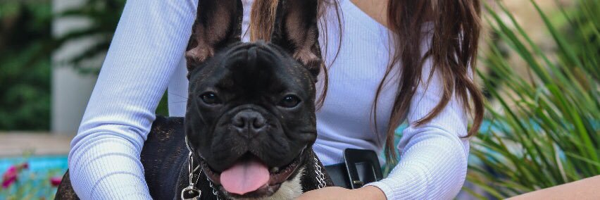 Sarahpfreitass's profile banner image