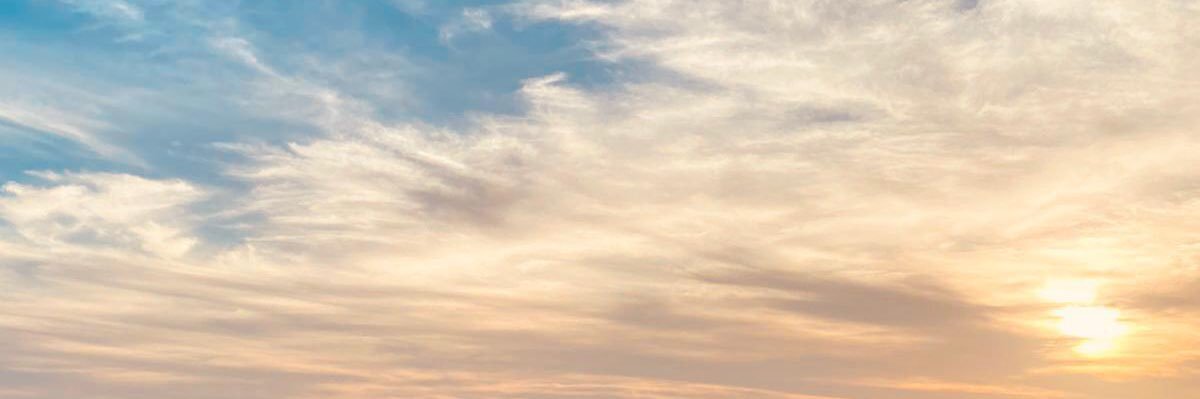 aliaspampi's profile banner image