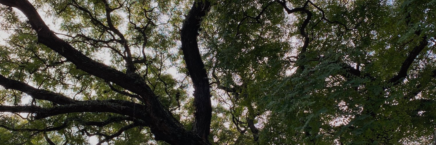 camibarr_'s profile banner image