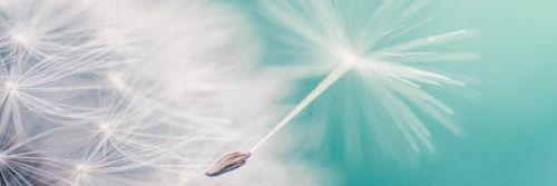samltaylor12's profile banner image