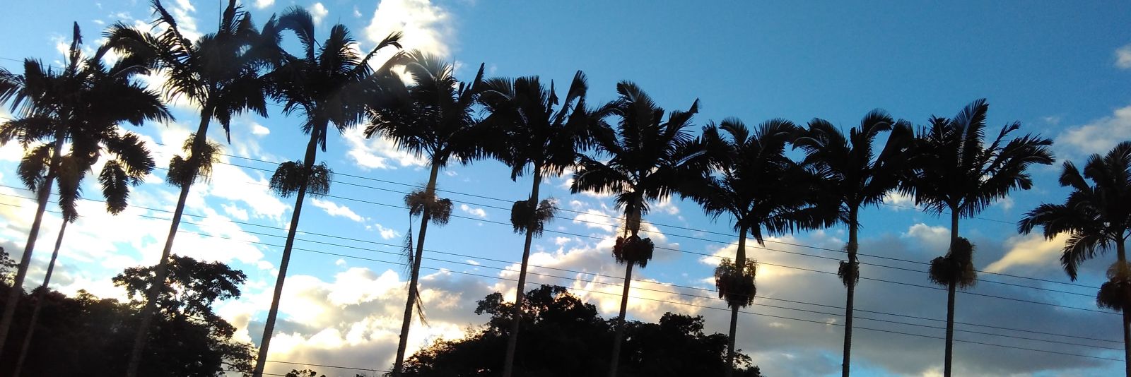 Veronicaa15_12's profile banner image