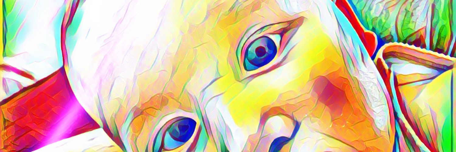 Allison Milner banner