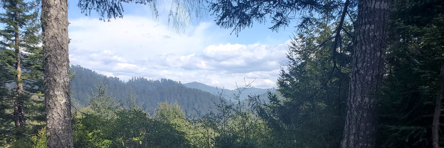 amanda_rose42's profile banner image