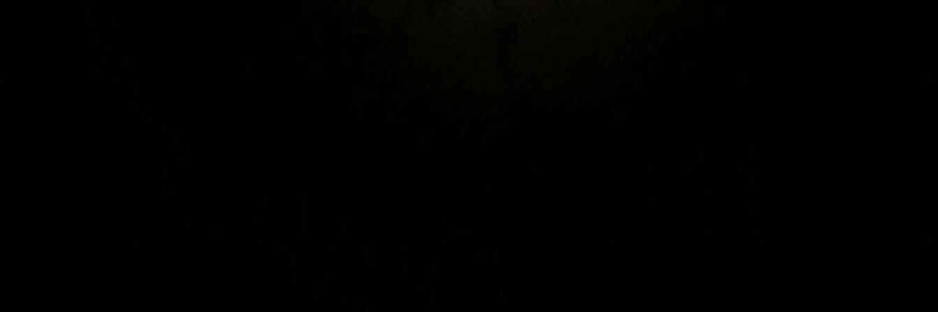 vwvki's profile banner image