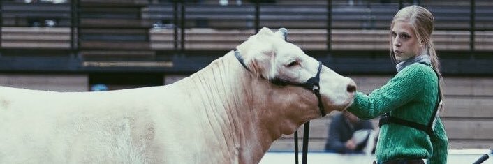 EmilyMeier's profile banner image