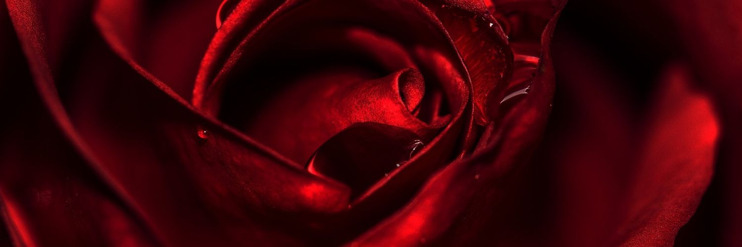 ___OverDue___'s profile banner image