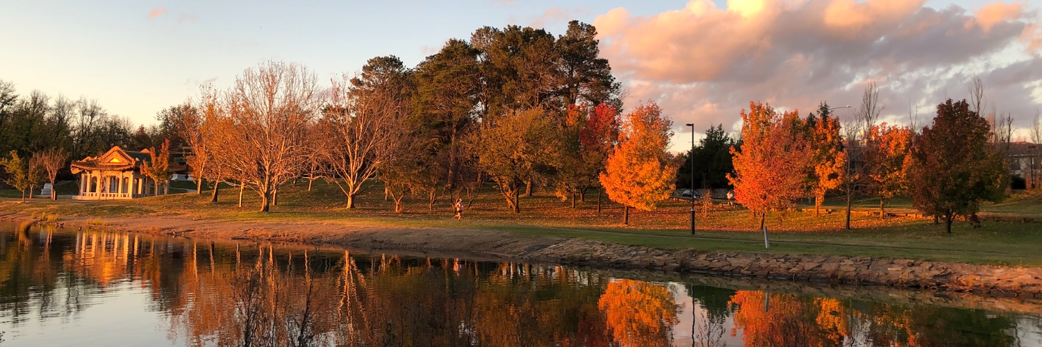 TCostadeLima's profile banner image