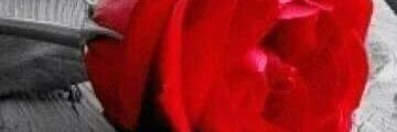 RAMIRom1's profile banner image