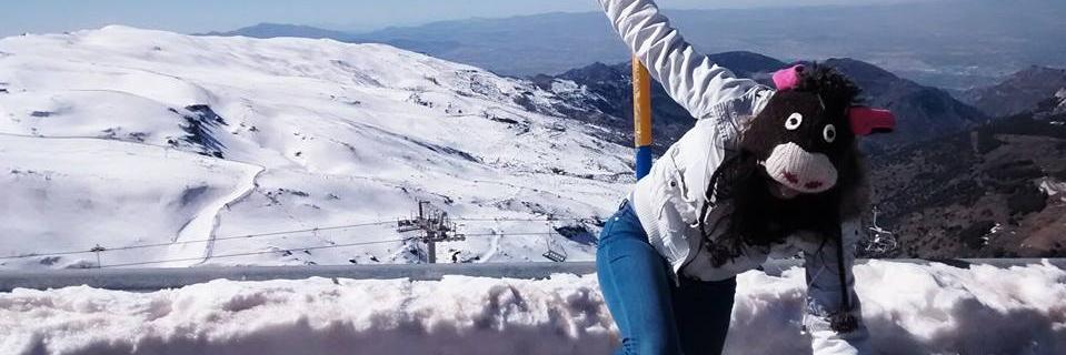 FermiAraque's profile banner image