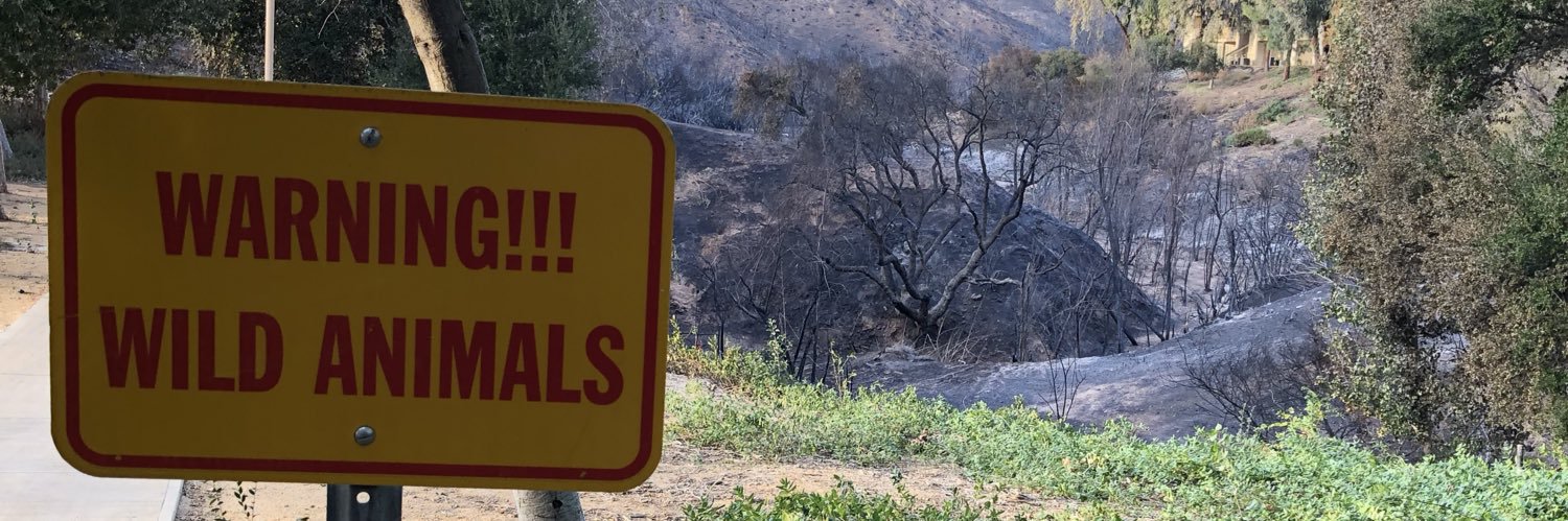 Call Me Susan banner