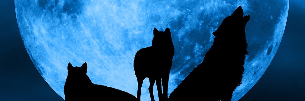kyle0921's profile banner image