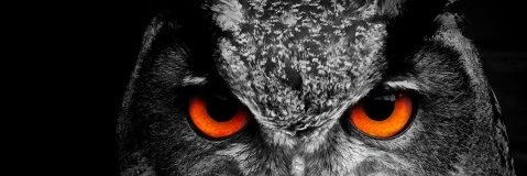VukasFeede's profile banner image